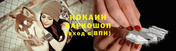 a pvp Рославль