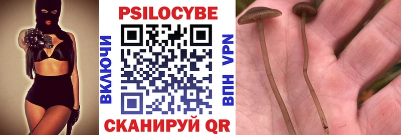 mega ссылки  Новоульяновск  Псилоцибиновые грибы прущие грибы 
